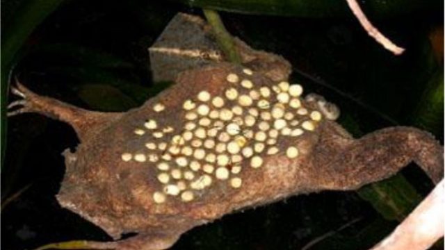 看完表示从头麻到脚趾，过程让人回味无穷