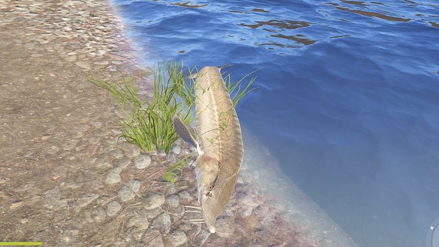 下饭东子第一集