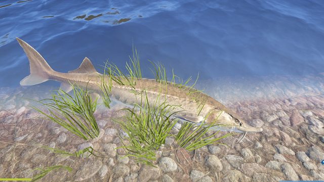 下饭东子第二级