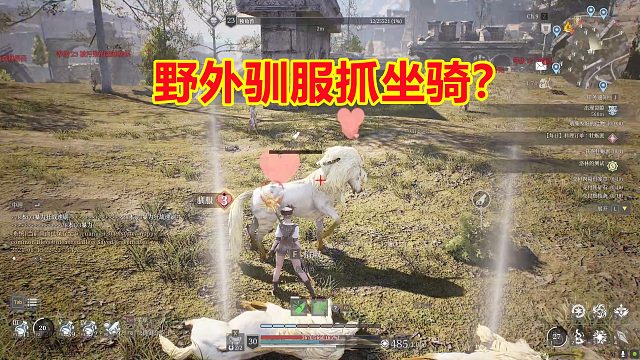 神佑释放：驯服野怪，弄一只独角兽当坐骑？可惜成功概率太感人！
