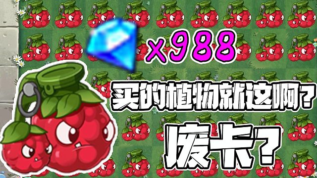 植物大戰(zhàn)僵尸：988鉆石買的桑葚爆破手好用嗎？貝貝：上當(dāng)了！