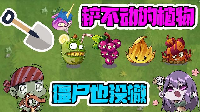 植物大戰(zhàn)僵尸：鏟子鏟不動的植物！大嘴：就是僵尸的天敵！