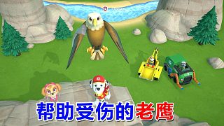 汪汪隊立大功：幫助受傷的老鷹 狗狗巡邏隊游戲
