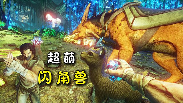 方舟191畸变：驯服超萌闪角兽，两只小角闪闪发光太可爱了！