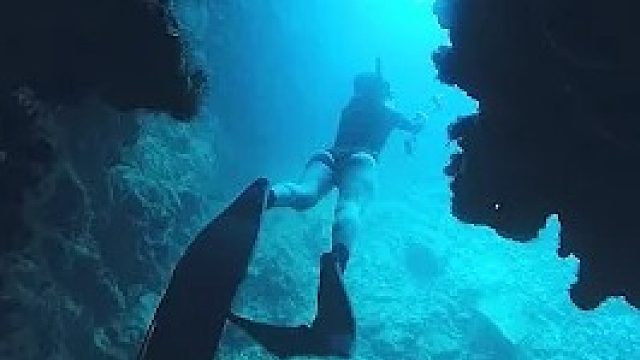 帛琉自由潜水天堂！一探梦幻水母湖鲨鱼