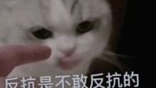 平平无奇的音乐分享