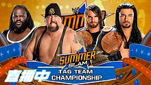 [WWE]夏日狂潮2013 清流