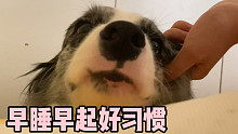 我什么時候可以實(shí)現(xiàn)“睡覺自由”？