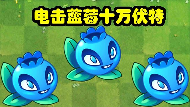 植物大战僵尸：五阶蓝莓十万伏特！不完全介绍