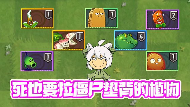 植物大战僵尸：盘点“死也要拉个僵尸垫背”的植物，大嘴：惹不起