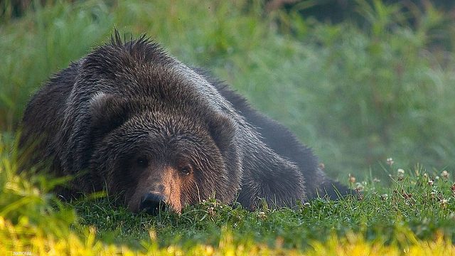 【Innovation】第一次见主播沦落到这种境地~~我太难了~~