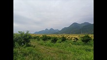 山里风景好