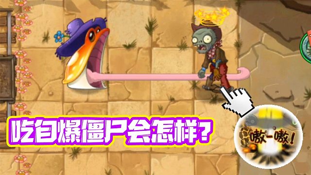 植物大战僵尸：金蟾菇和大嘴花吃掉爆炸僵尸，会怎样呢？