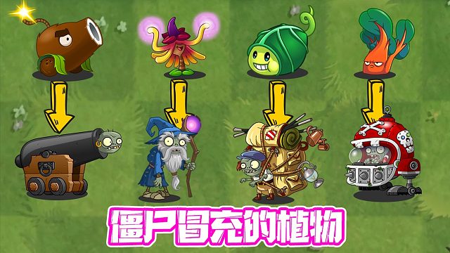 植物大战僵尸：僵尸冒充的植物第二弹！上辈子是一家人吧？