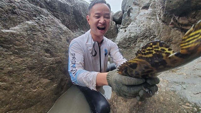 因路途遥远一年未抽的水坑，大伙惊喜发现大石斑和大八爪都特肥美