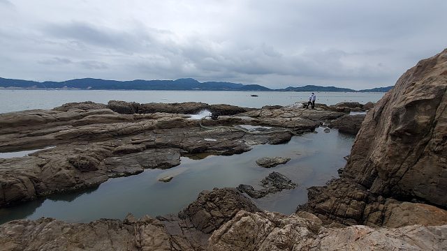 这水坑太给力了，感觉有抓不完的鱼，小明越抓越来劲根本停不下来