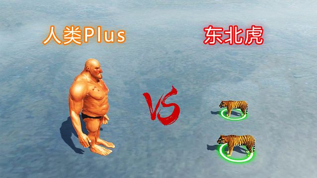 假如人类高达5米，肌肉发达，能不能打得过东北虎？