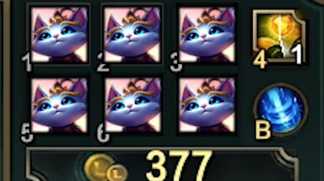 克隆模式猫咪出什么？出五件猫咪就是完事了