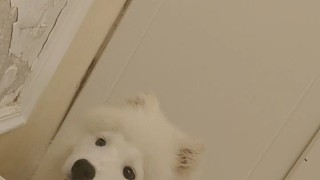 我發(fā)布了一個新視頻，快來圍觀吧！
