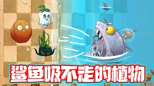 植物大战僵尸：鲨鱼僵博也吸不动的植物？在它们身后很安全！