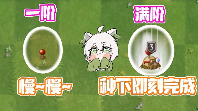 植物大战僵尸：一阶和满阶植物的差距！有人质变！有人变质！