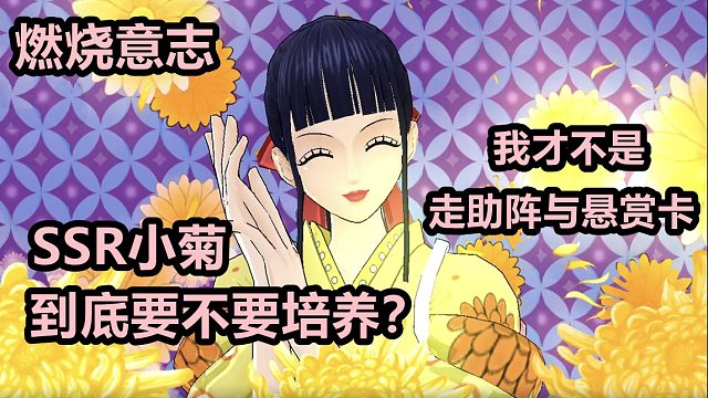 燃烧意志：小菊要不要培养，听一次分析告诉你小菊走助阵悬赏强