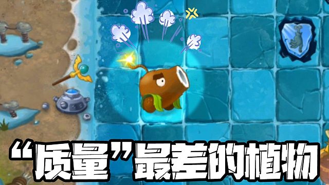 植物大战僵尸：“质量最差”的植物？一局才用一次就坏掉了