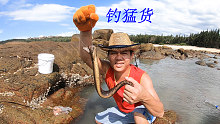 阿平赶海花样多，礁盘坑下钓海鳗一拉一个准，还有石斑鱼各种各样
