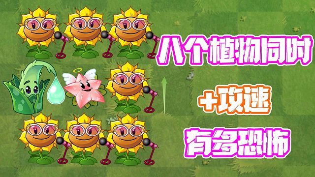 植物大战僵尸：当龙舌兰有八个植物给他加攻速！史上最快剑？