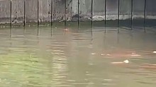 高手在民间