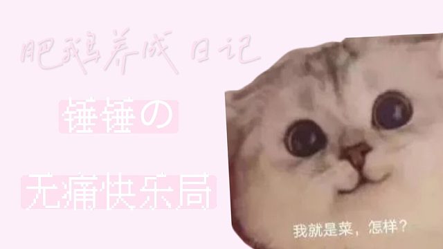 肥鹅vlog丨锤锤无痛快乐局
