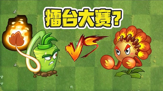 植物大战僵尸：炙热秋葵vs火柴花拳手！没想到能远程攻击？