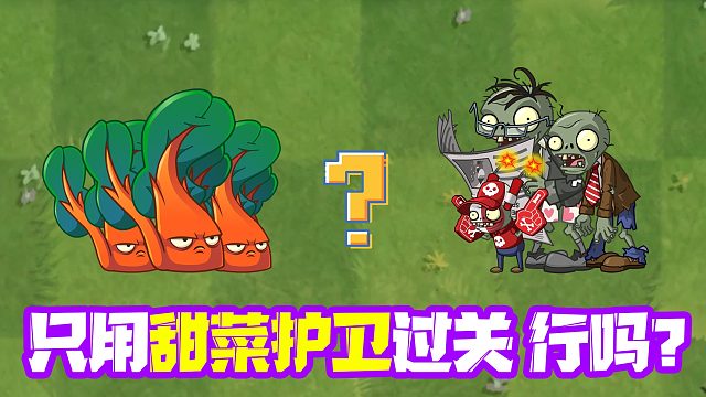 植物大战僵尸：只用甜菜护卫过关？僵尸表示非常憋屈