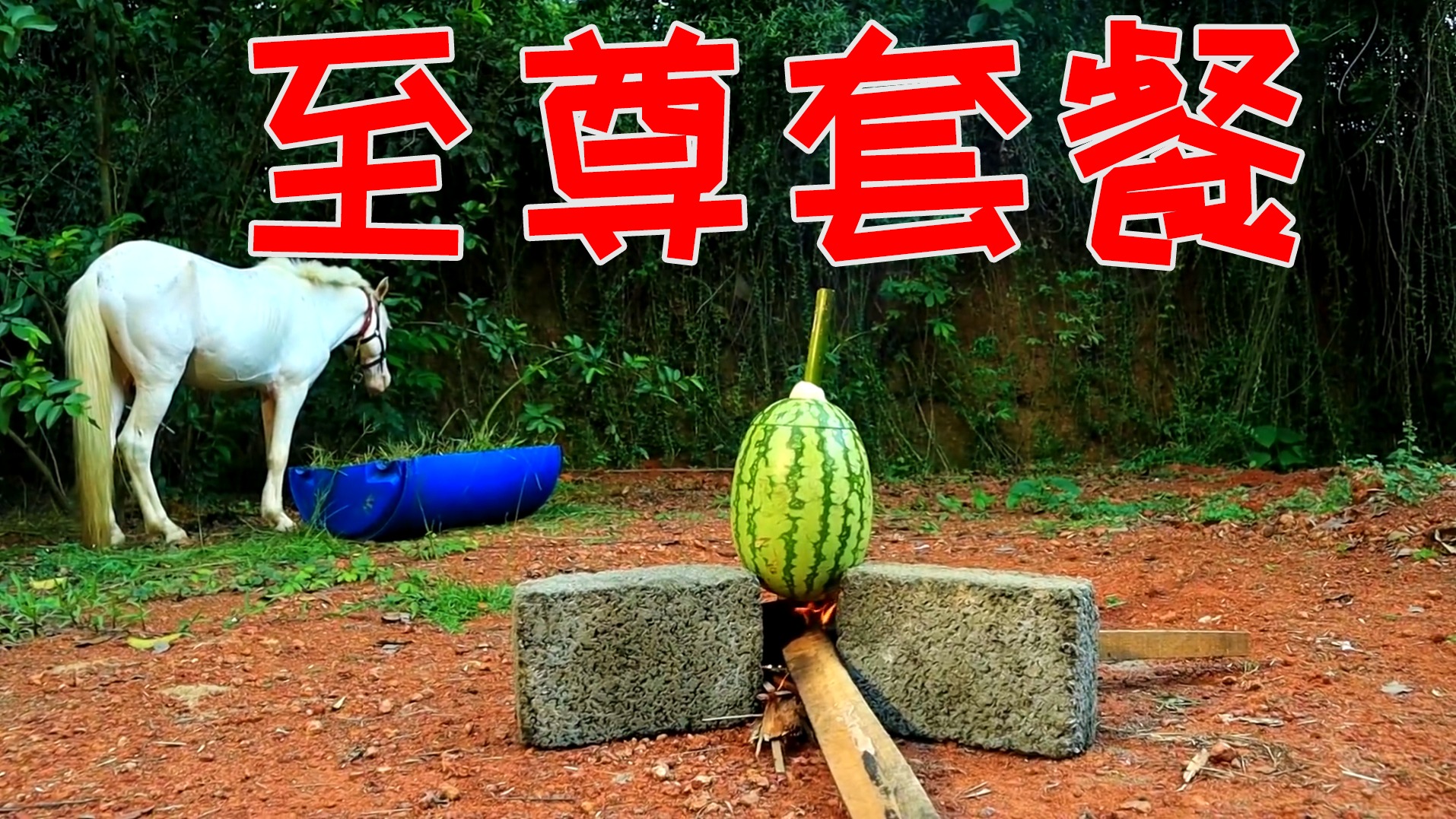 荒野美食：胡子哥大秀厨艺，做出美味“印度烤鱼”，这味道真绝了