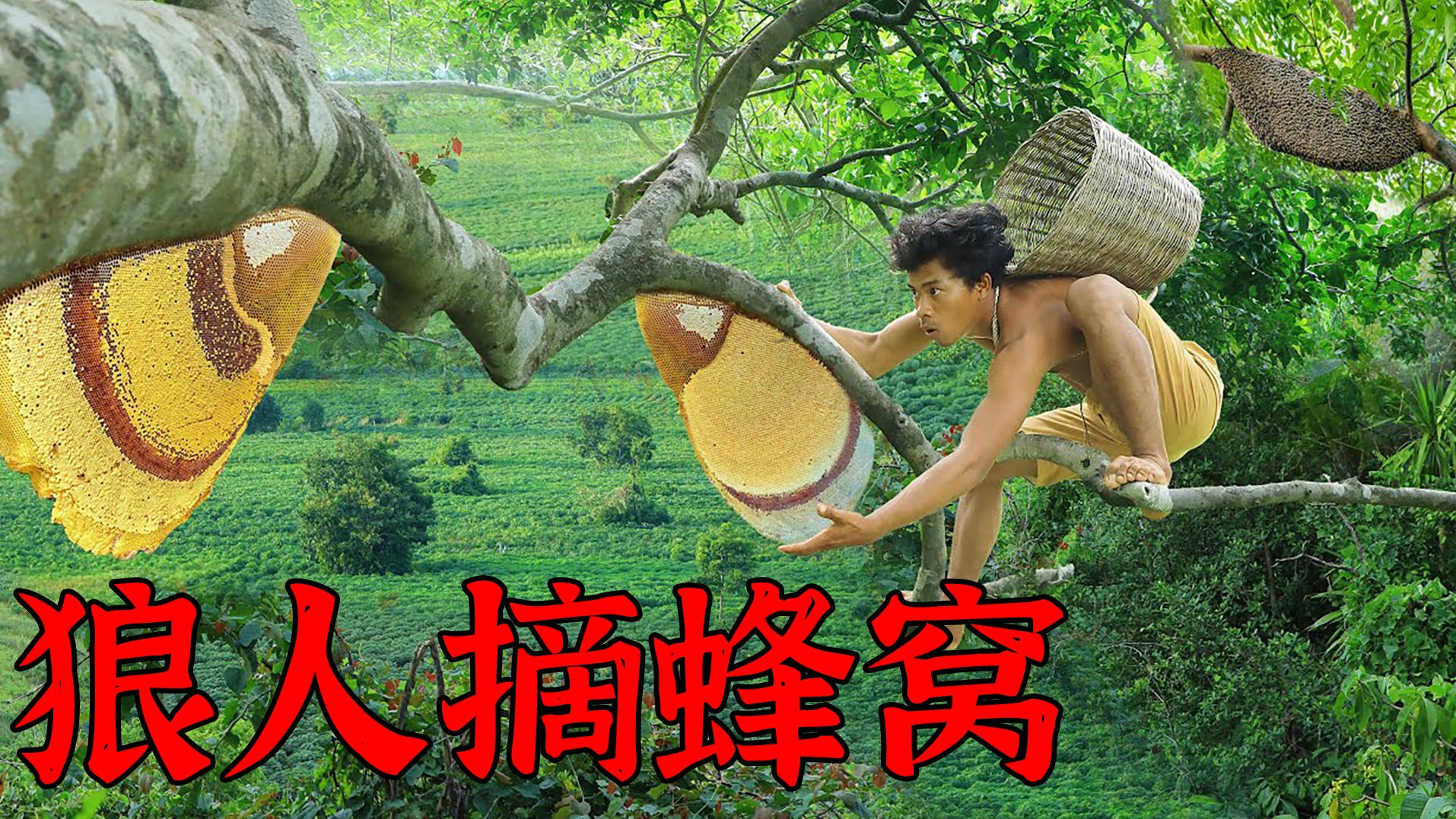 荒野美食：溜子们意外获得鸵鸟蛋，经过大师级烹饪，吃的那叫真香