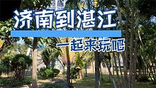 湛江三日行，17度的舒適溫度，誘人的椰子樹，四元一個的大生蠔