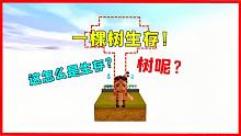 迷你世界：一棵樹(shù)的生存！樹(shù)都被砍了，小表弟要怎么活下去？