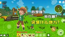 手工星球：小表弟失憶了？出門旅游發(fā)生事故，結(jié)果卻流落到了荒島