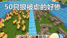迷你世界新版本：50戰(zhàn)斗雞VS50狼 猜中了開頭卻沒猜中結尾