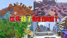 悟空說(shuō)游：我的世界稀有種子排名！去過(guò)三個(gè)的都是真大佬了
