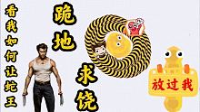 看小鹿圈得蛇王 打招呼 求放過！干得它跪地求饒！