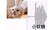 憨的鸭批的小软糖你见过吗