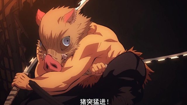 青雉补习班：终极场噩梦战国猪突猛进！