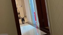 我家鐵牛