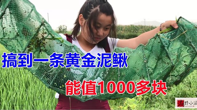 心血来潮户外搞野，不料搞到一条黄金泥鳅，据说值1000块，发财了！