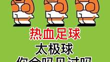 热血足球 太极球 有几个见过吗？