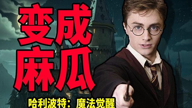 要平衡还是氪金，是麻瓜还是哑炮？《哈利波特：魔法觉醒》