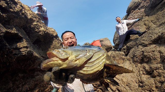 一桶价值500元蛋白粉打窝四米深坑，引来巨石斑疯狂抢食，赚翻了