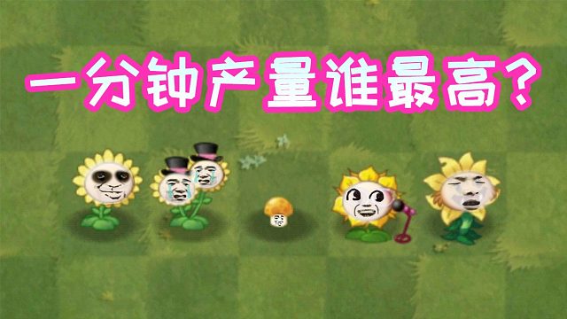 植物大战僵尸：这些植物中，一分钟内谁产阳光最多？