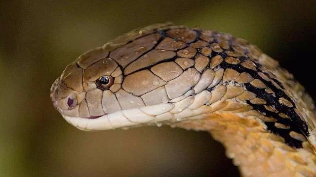 做人要像眼镜王~我能干死你，就是懒得理你